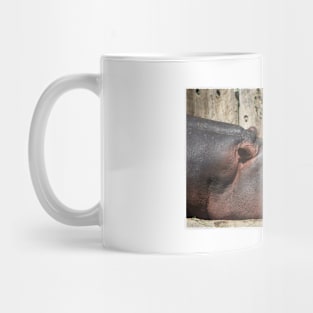 Sleeping Hippo Mug